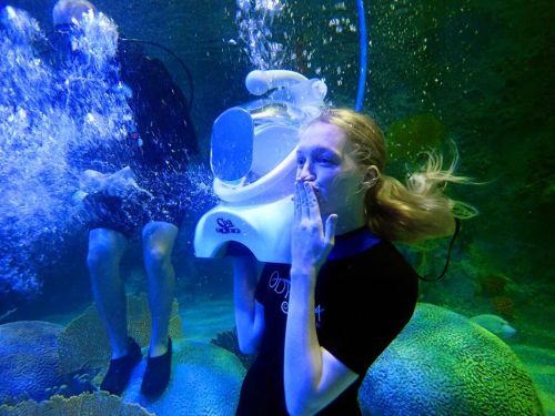 A diver underwater holds a device while blowing a kiss, surrounded by colorful coral and bubbles.