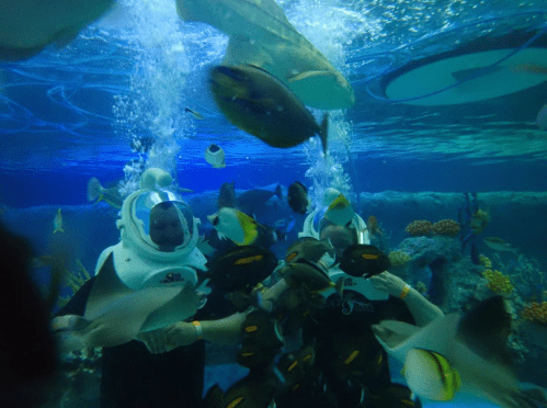 Two people in underwater helmets surrounded by colorful fish and rays in a vibrant aquarium setting.