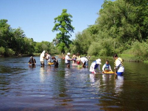 A group of people wading in a river, engaged in activities with children and equipment among lush greenery.