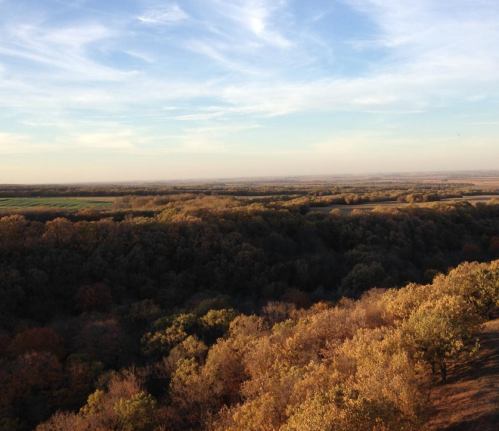 A panoramic view of rolling hills and trees in autumn, with a clear blue sky and wispy clouds above.