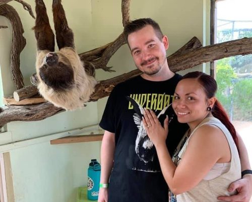 A couple poses together with a sloth hanging above them on a branch in a bright, indoor setting.