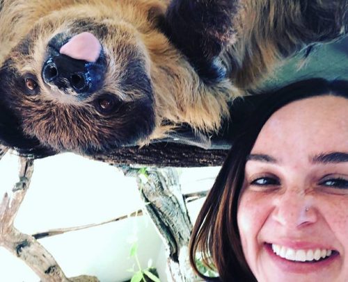 A woman smiles for a selfie with a sloth hanging upside down above her.