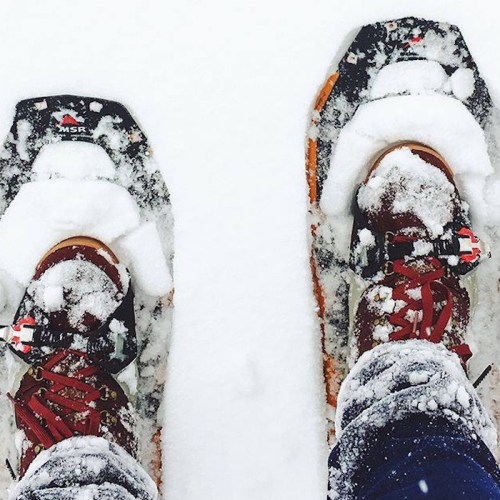 A pair of snowshoes on a snowy surface, with snow covering the shoes and surrounding ground.