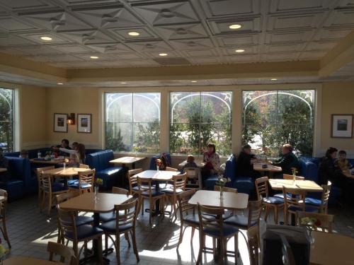Bright café interior with blue seating, tables, and large windows showing greenery outside. Customers are enjoying their meals.
