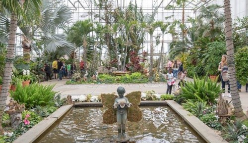 A lush greenhouse filled with tropical plants, featuring a central fountain and visitors exploring the vibrant surroundings.