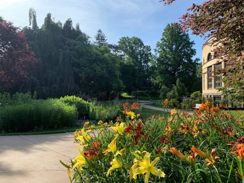 A vibrant garden with colorful flowers in the foreground, lush greenery, and trees under a clear blue sky.