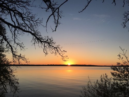 Sunset over a calm lake, framed by tree branches, with a line of birds flying across the colorful sky.