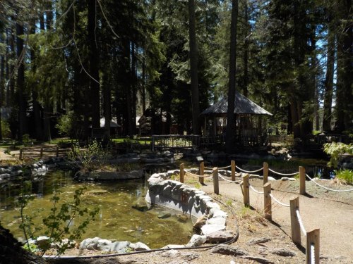 A serene park scene featuring a pond, stone path, and gazebo surrounded by tall trees and lush greenery.
