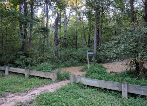 A wooded area with a muddy path diverging at a signpost, surrounded by lush green foliage and trees.