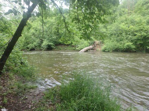 A serene river flows through a lush green landscape, surrounded by trees and dense foliage.