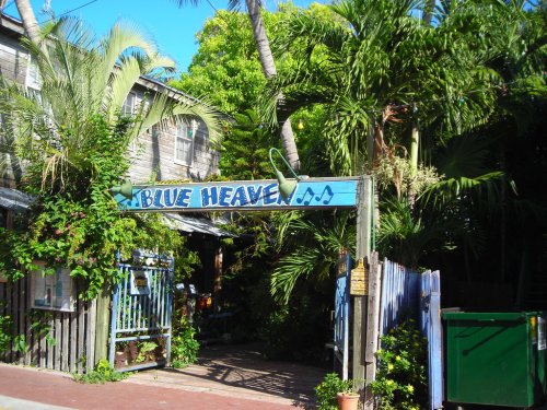 A colorful sign reading "Blue Heaven" surrounded by lush greenery and tropical plants.