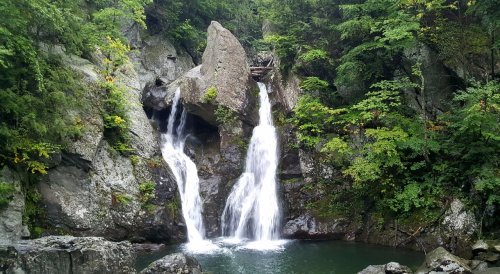 A serene waterfall cascading over rocks into a tranquil pool, surrounded by lush green foliage.