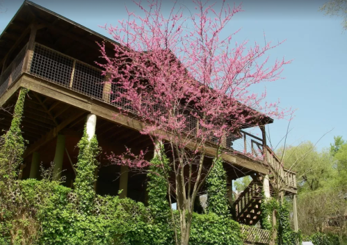 A wooden house with a balcony surrounded by greenery and a blooming pink tree in the foreground.