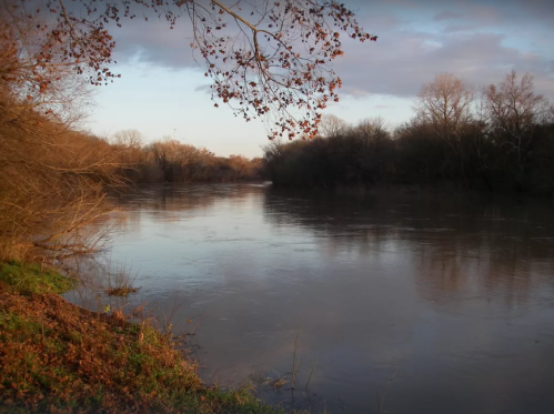 A calm river flows through a wooded area, with trees lining the banks and a cloudy sky above.