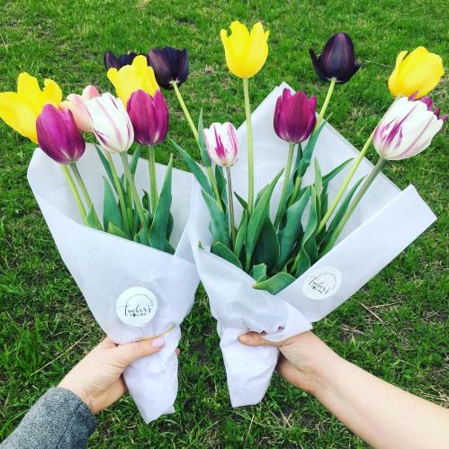Two hands holding bouquets of colorful tulips wrapped in white paper, set against a green grass background.