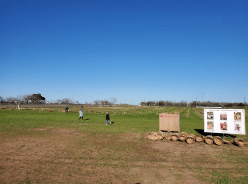 A wide view of a grassy field with people walking, baskets on the ground, and an informational sign nearby.