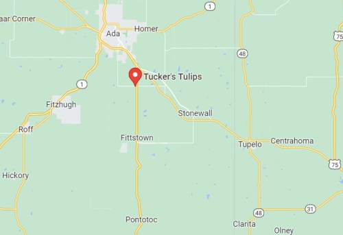 Map showing the location of Tucker's Tulips near Fittstown, Oklahoma, with nearby towns and highways marked.