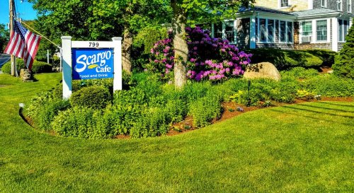 Sign for Scargo Cafe surrounded by vibrant flowers and lush greenery, with an American flag in the background.