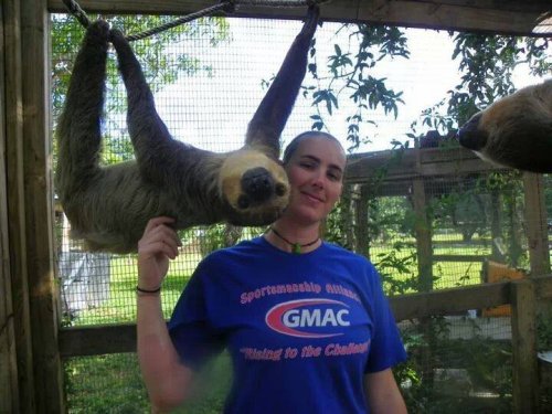 A woman in a blue shirt poses with a sloth hanging upside down beside her in a natural setting.