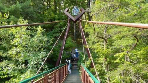 A suspension bridge surrounded by lush green trees, with people walking towards the entrance.