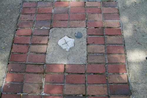 A square patch of concrete surrounded by red bricks, with a small circular object nearby.