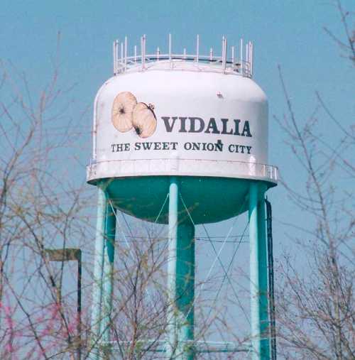 Water tower with "Vidalia, The Sweet Onion City" sign, featuring two onions, surrounded by trees and a clear blue sky.