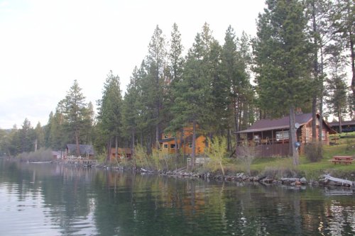 A serene lakeside scene with wooden cabins and tall pine trees reflecting in calm water.