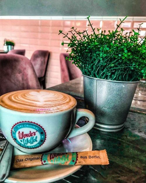 A latte with a heart design in a cup, next to a small potted plant and a sugar packet on a table.