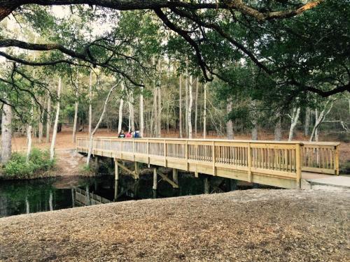 A wooden bridge spans a calm pond, surrounded by trees and a path, with people walking in the distance.