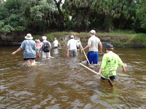 A group of people wading through shallow water, carrying sticks, surrounded by lush greenery.