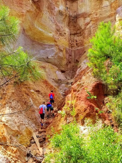 Three hikers ascend a colorful, rocky canyon surrounded by greenery and steep, textured cliffs.