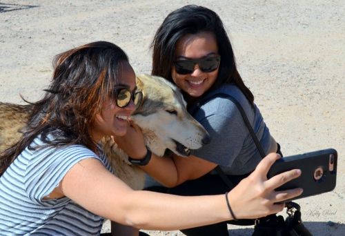 Two women take a selfie with a friendly dog, smiling and enjoying their time outdoors.
