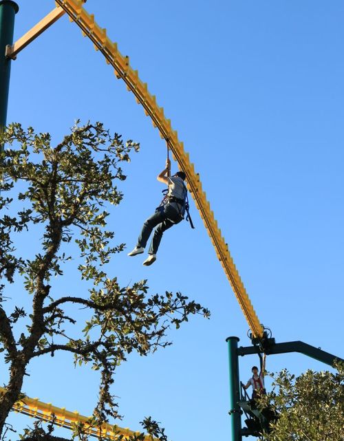 A person zip-lining through the air above trees, with a clear blue sky in the background.