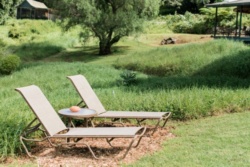 Two lounge chairs with a small table between them, set on a grassy area surrounded by trees and greenery.
