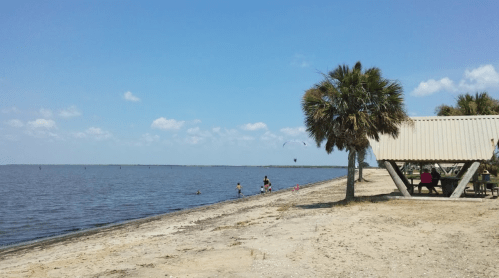 A sandy beach with palm trees, people enjoying the water, and a picnic area under a shelter on a sunny day.