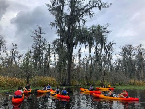A group of kayakers in orange kayaks paddles through a serene, tree-lined waterway with Spanish moss hanging from trees.