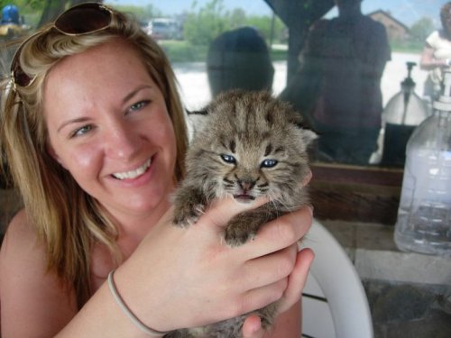 A smiling woman holds a small, fluffy kitten in her hands, with a blurred outdoor background.