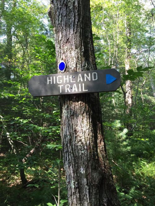 A wooden sign on a tree indicating the direction of the Highland Trail in a lush, green forest.