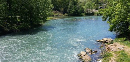 A serene river flows through a lush green landscape, surrounded by trees and rocky banks under a clear blue sky.