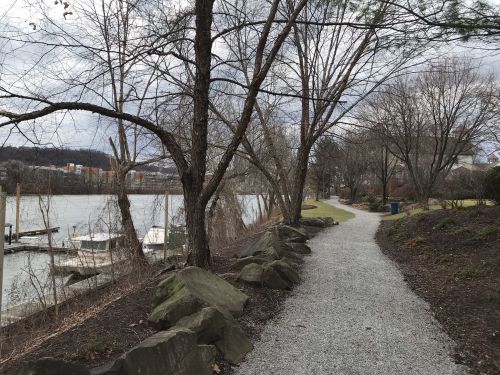 A gravel path lined with trees along a river, with boats docked nearby and a cloudy sky overhead.