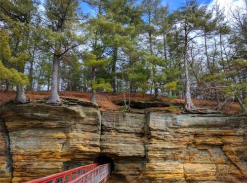A rocky cliff with trees on top, featuring a red bridge leading to a cave entrance below.