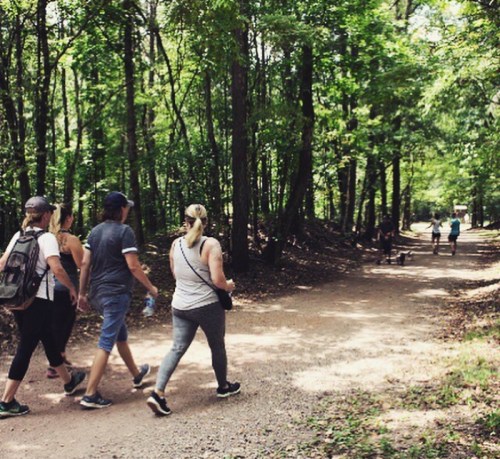 A group of people walking along a dirt path in a lush, green forest.