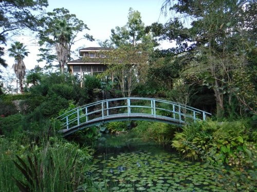 A serene garden scene featuring a blue bridge over a pond with lily pads, surrounded by lush greenery and trees.