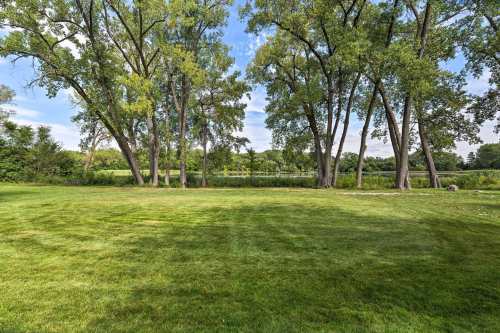 Lush green lawn with tall trees and a serene landscape in the background under a clear blue sky.