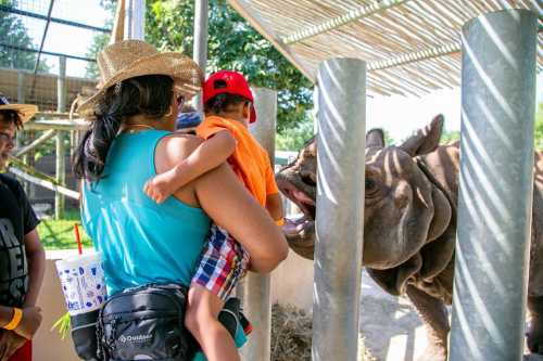 A woman holds a child as they watch a rhinoceros at a zoo, surrounded by a fenced enclosure.