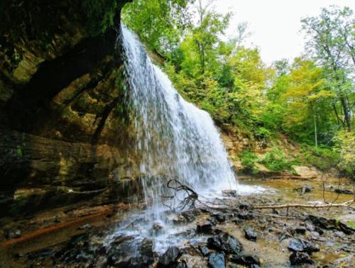 A waterfall cascades over rocky terrain, surrounded by lush green trees and a serene natural landscape.