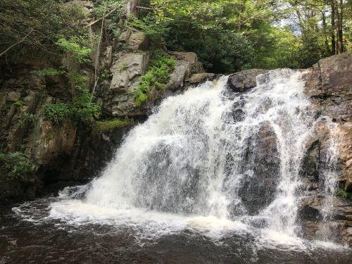 A cascading waterfall flows over rocky terrain, surrounded by lush greenery and trees.