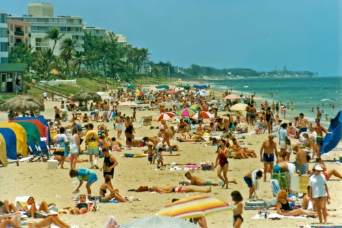 A crowded beach scene with sunbathers, colorful umbrellas, and palm trees under a clear blue sky.