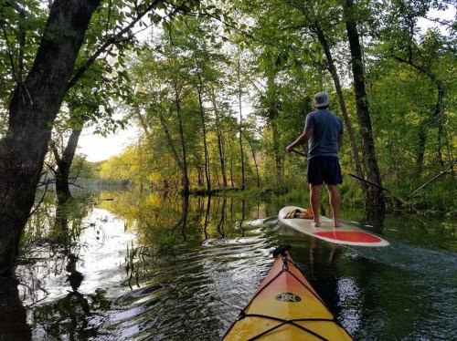 A person paddles on a stand-up paddleboard in a serene, tree-lined waterway during sunset.
