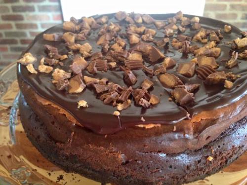 A rich chocolate cake topped with a glossy chocolate ganache and sprinkled with chopped peanut butter cups.
